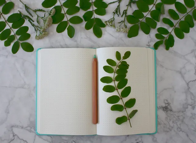 Recently Immortal Handbook Blank Journal